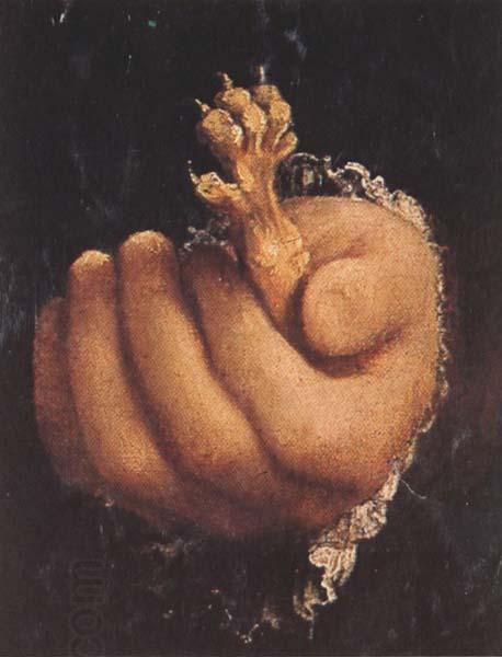 Lorenzo Lotto Man with a Golden Paw (mk45) oil painting picture